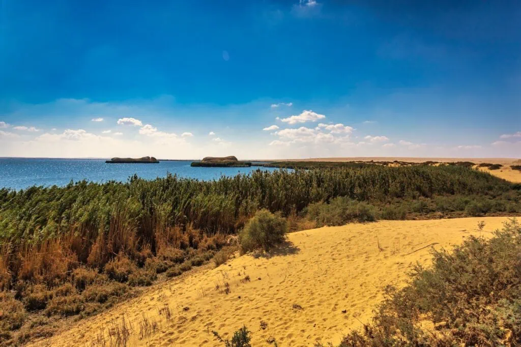 Natural oasis with calm lake water bordered by desert sands and sparse vegetation at Wadi El Rayan, Fayoum