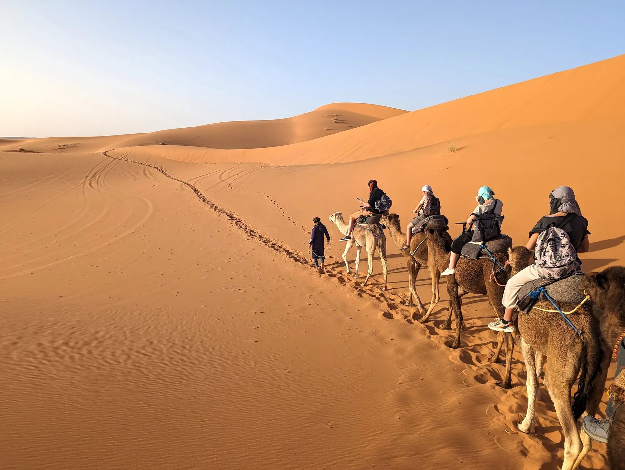 Camel caravan with tourists riding through golden sand dunes in Sahara Desert