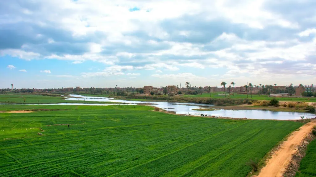 Irrigated farmland and water channels overlooking the Nile River with cultivated fields on both banks