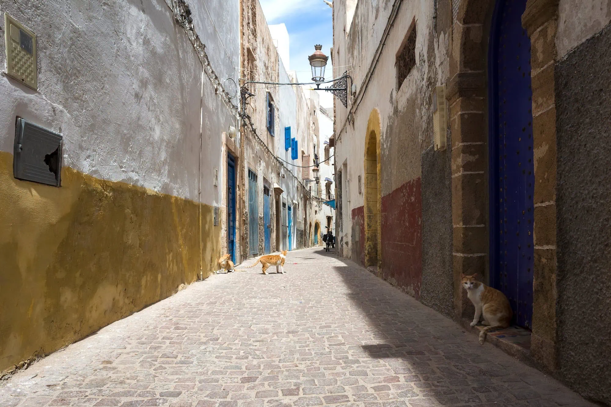 Cobblestone street in Essaouira medina with colorful traditional buildings and cats
