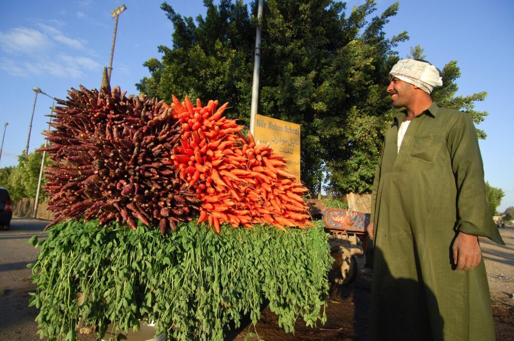 Egyptian farmer selling carrots beside a roadside vegetable stall display, Roadside Vegetable Stall