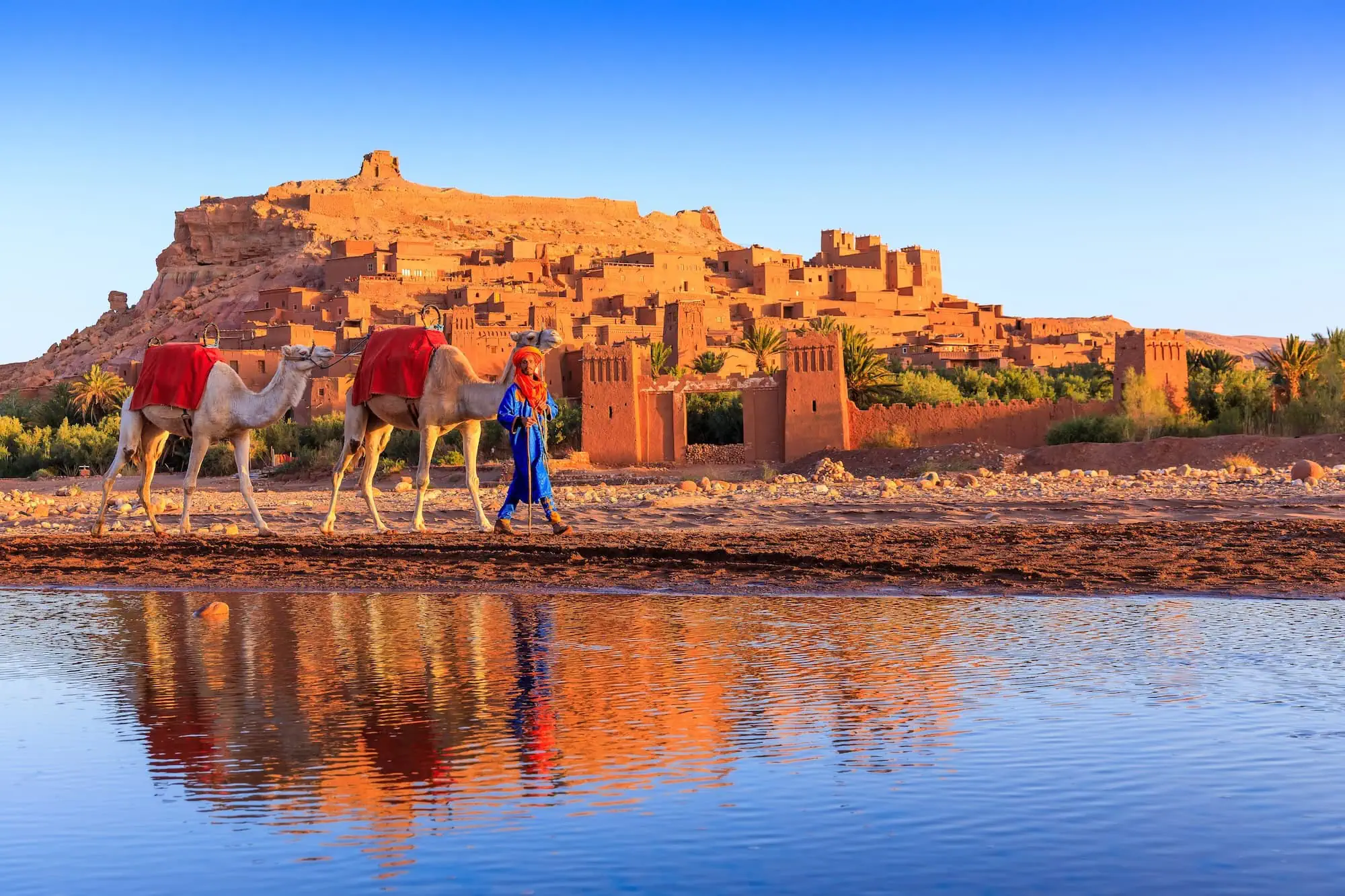Berber guide with camels at Ait Ben Haddou fortress, gateway to Sahara Desert