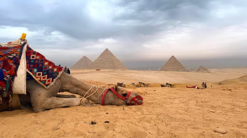 View of the Giza pyramids rising above desert plateau in Giza