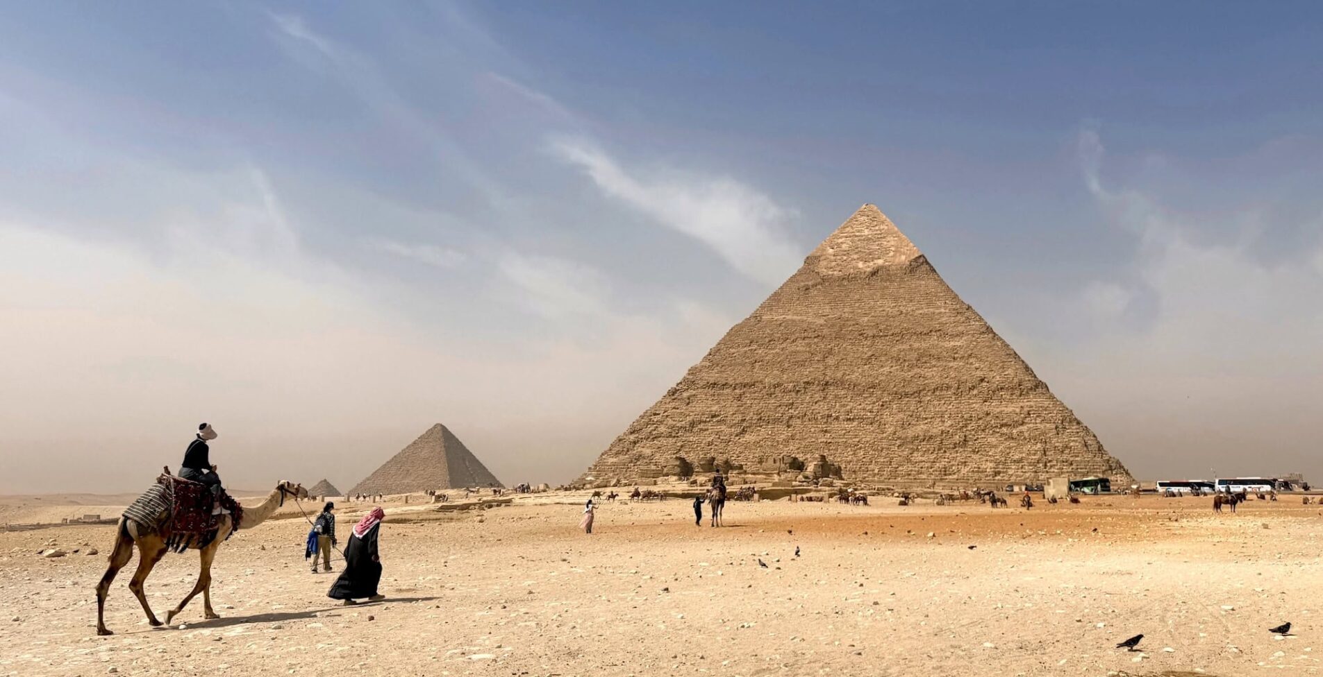 Giza pyramids camel khafre 1
