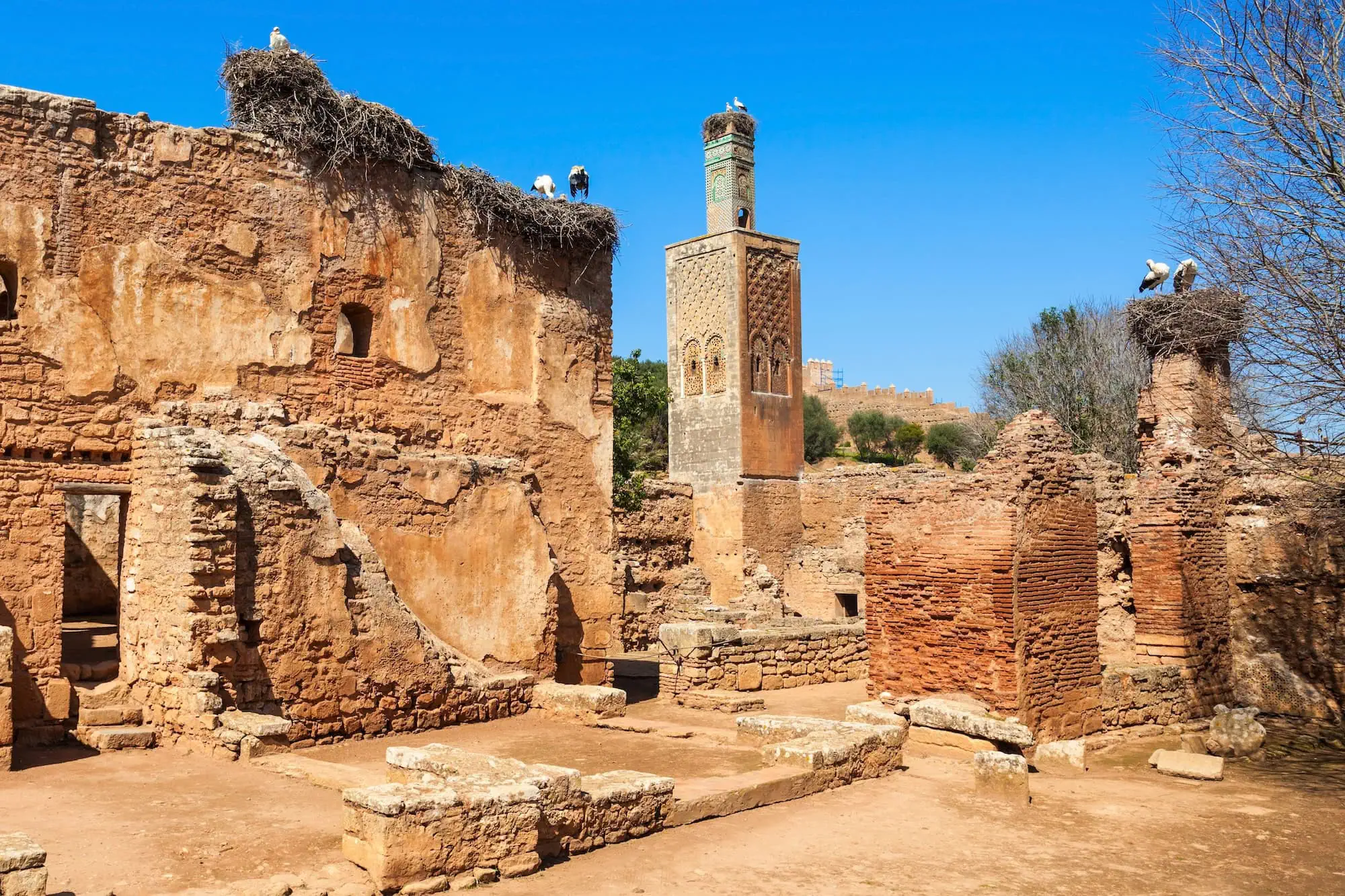 Ancient Chellah necropolis ruins with minaret tower and stone foundations in Rabat, Morocco
