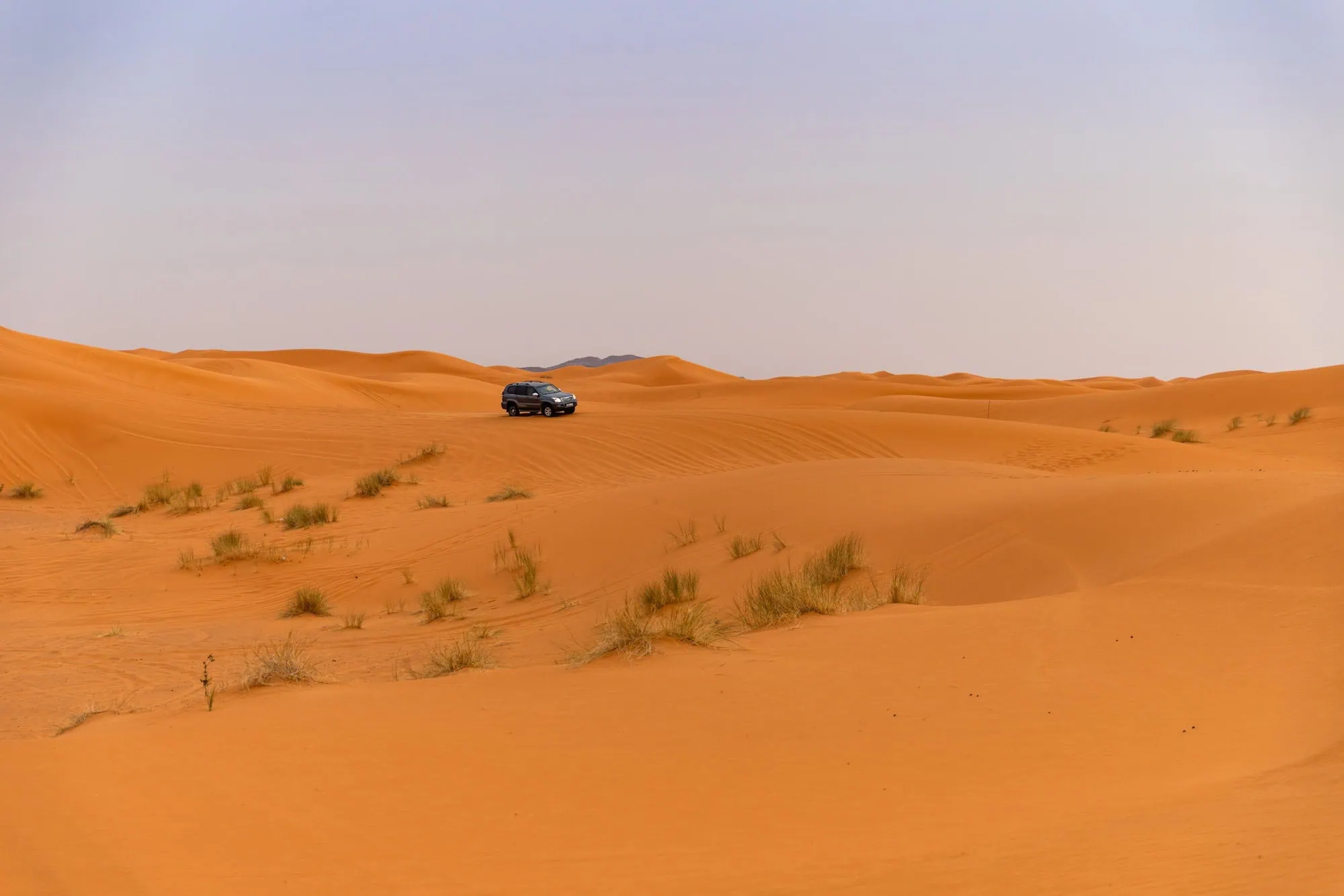 Black SUV driving through orange sand dunes in the Sahara Desert